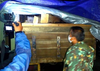 Polres Lumajang Berhasil Ringkus Ilegal Logging