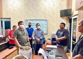 Polda Sumut Gagalkan Penjualan 150 Kg Sisik Trenggiling Seharga Ratusan Juta
