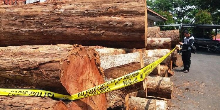 Polda Sultra Tangkap 5 Pelaku Penebangan Liar Sindikat Antarprovinsi