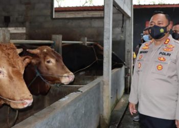 Polisi Pantau Peternakan Warga untuk Antisipasi PMK