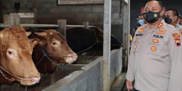 Polisi Pantau Peternakan Warga untuk Antisipasi PMK