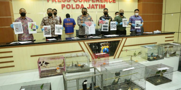 Polda Jatim Bongkar Praktik Jual Beli Satwa Dilindungi