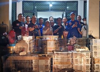 Ditpolair Baharkam Polri mengungkap kasus penyelundupan satwa dilindungi di Sunda Kelapa, Jakarta Utara.