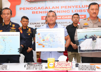 penangkapan penyelundupan benih lobster Batam
