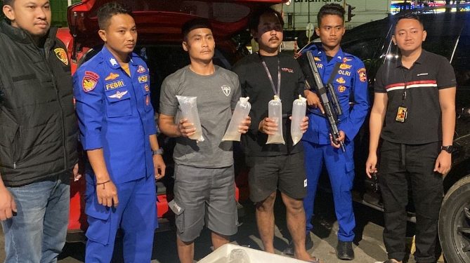 penyelundupan benih lobster di Sukabumi