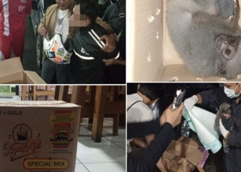 perdagangan satwa dilindungi di Tasikmalaya