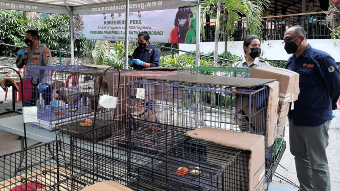 Polresta Yogyakarta Ungkap Kasus Perdagangan Ilegal Satwa Dilindungi