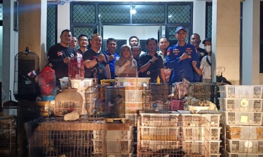 Ditpolair Baharkam Polri mengungkap kasus penyelundupan satwa dilindungi di Sunda Kelapa, Jakarta Utara.
